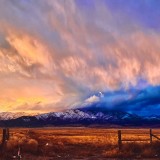 IMG_0669